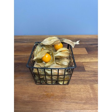 Physalis (Punnet)