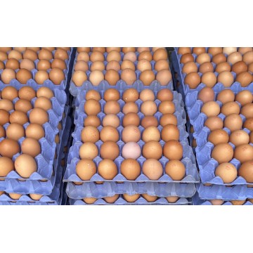 Free Range Eggs (Tray of 30)